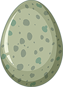 egg